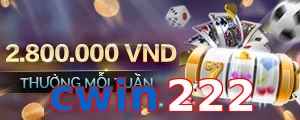 cwin222