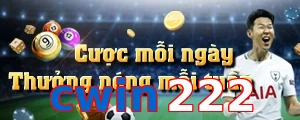 cwin222