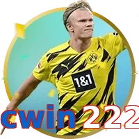 cwin222