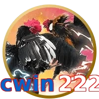 cwin222